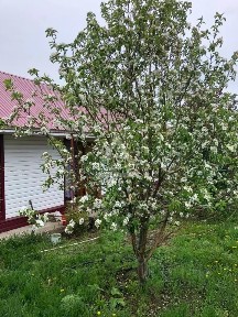Продается 1-этажный дом, 96,2 м²