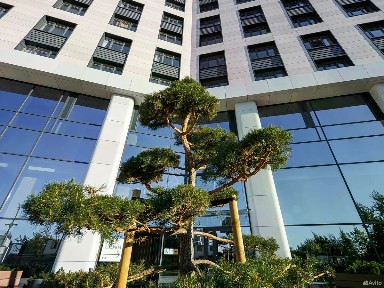 Продается апартаменты-студия, 26 м²