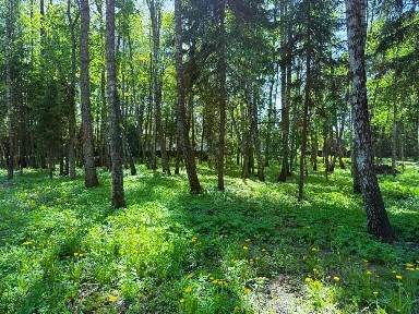 Продается участок, 7 сот.