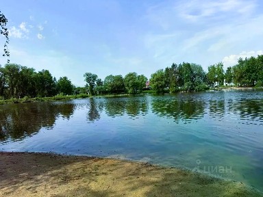 Московская область, Домодедово городской округ, Кутузово деревня, ул. Лебединая