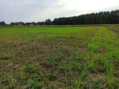 Продается участок, 19 сот.
