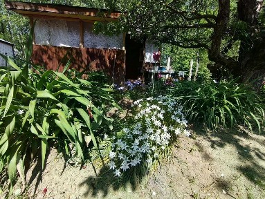 Продается 1-этажный дом, 25 м²