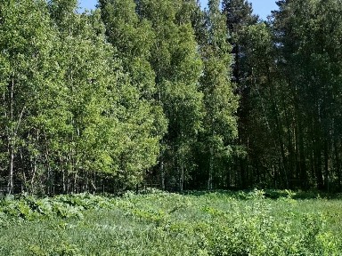 Продается участок, 12 сот.