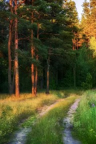 Продается участок, 8 сот.