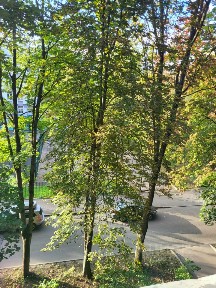 Продается 2-комн. квартира, 42,5 м²