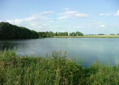 Продается готовый бизнес ⋅ рыба, 530 000 м²