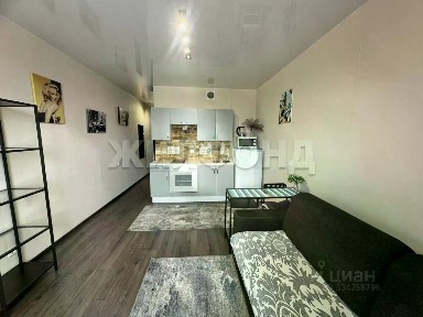 Продается 1-комн. квартира, 24,5 м²