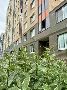 Сдается 2-комн. квартира, 50 м²
