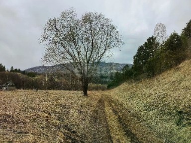 Продается участок, 24,52 сот.