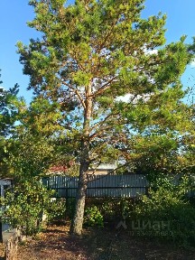 Оренбургская область, Оренбургский район, Нежинский сельсовет, Осенний Дар СНТ