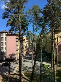 Сдается 2-комн. квартира, 61 м²