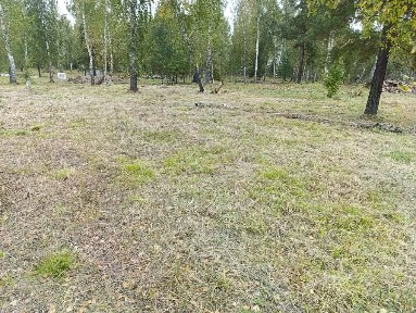 Продается участок, 10 сот.