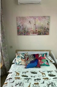 Сдается апартаменты-студия, 23,6 м²