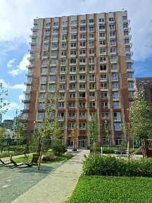 Сдается студия, 24,1 м²
