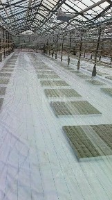 Ростовская область, Октябрьский район, Краснокутское с/пос, Интернациональный поселок