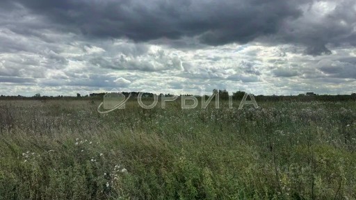 Тюменская область, Тюменский муниципальный округ, Салаирка село
