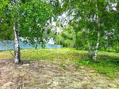 Московская область, Клин городской округ, Решоткино деревня, ул. Рябиновая, 15