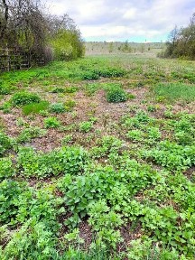 Продается участок, 25 сот.