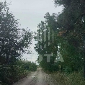 Воронежская область, Воронеж, р-н Левобережный, Березка СНТ, 24-я линия