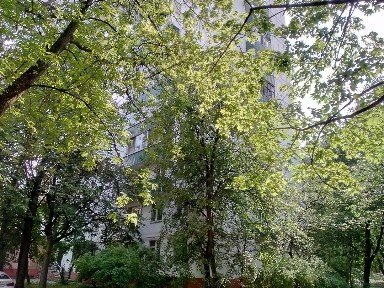 Продается помещение свободного назначения, 162,8 м²