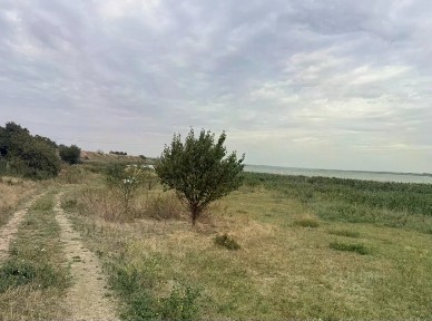 Продается участок, 25 сот.