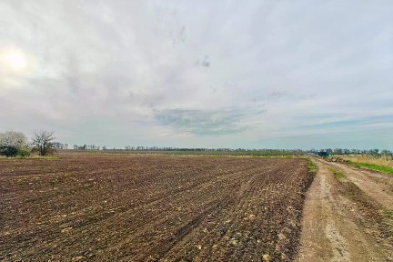 Продается участок, 290 сот.