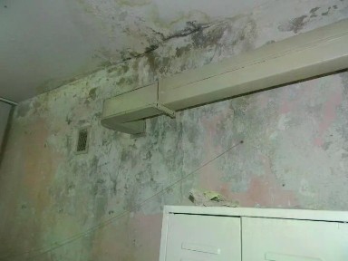 Продается помещение свободного назначения, 64,4 м²