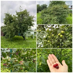 Продается 1-этажный дом, 25 м²