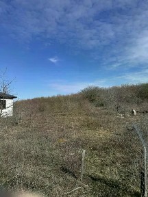 Краснодарский край, Новороссийск городской округ, Победа хутор, ул. Шаумяна