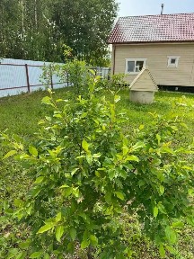 Продается 2-этажный дом, 99 м²