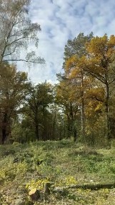 Продается участок, 8 сот.