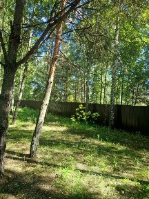 Липецкая область, Добровский муниципальный округ, Горицы село, ул. Звездная, 184