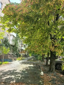 Сдается 2-комн. квартира, 47,3 м²