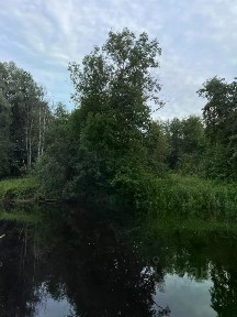 Продается участок, 94 сот.