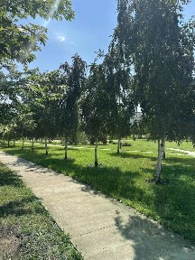 Продается 2-этажный дом, 164 м²