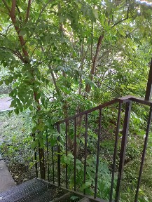 Сдается помещение свободного назначения, 10,4 - 17 м²