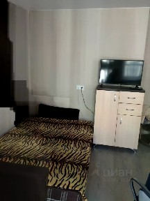 Сдается студия, 24,3 м²