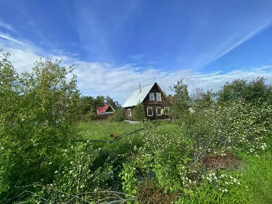 Ленинградская область, Всеволожский район, Рахьинское городское поселение, Борисова Грива садоводческий массив, Строитель-2 СНТ, 49