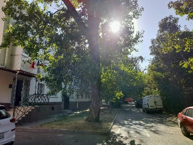 Продается квартира свободной планировки, 12,6 м²