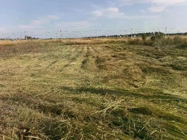 Продается участок, 8 сот.