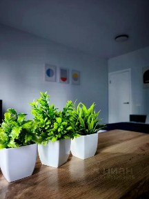 Сдается 1-комн. квартира, 33,3 м²