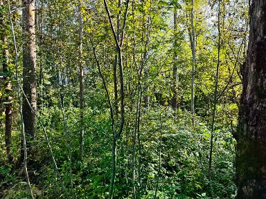 Продается участок, 17 сот.