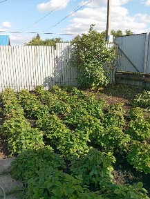 Продается 1-этажный дом, 100 м²