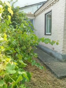 Продается 1-этажный дом, 83 м²