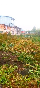 Продается участок, 30 сот.