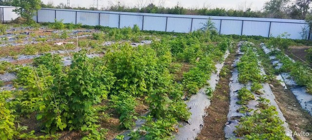 Продается участок, 25 сот.