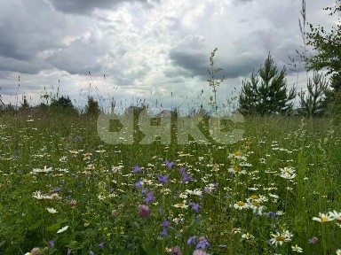 Московская область, Раменский муниципальный округ, Дергаево деревня, 1А/1