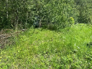 Московская область, Сергиево-Посадский городской округ, Автомобилист-3 ТСН