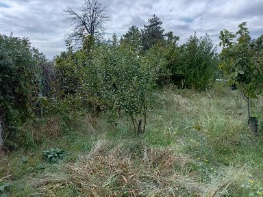 Продается участок, 6 сот.