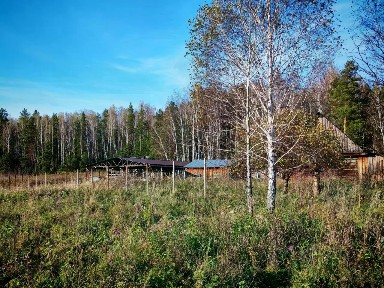 Продается участок, 1 га